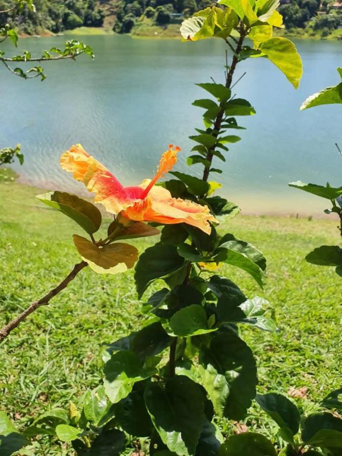 Maravilhoso Sítio Na Beira Da Represa Villa Igaratá Exterior foto